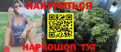 сатива Лесосибирск