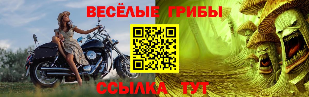 Псилоцибиновые грибы Psilocybe  купить наркотик  Жуковский  Псилоцибиновые грибы Psilocybine cubensis  Вход с VPN 